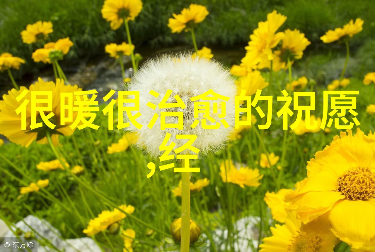 社会中的独特繁体女生网名2018年流行个性化网络昵称