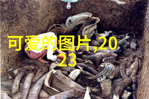 美艳四射的包围圈