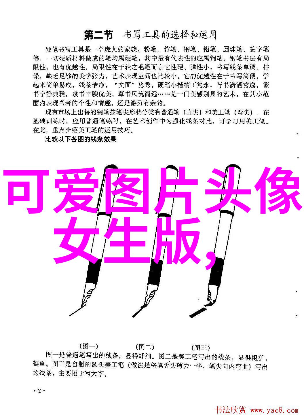 11月节日颂感恩与喜悦的双重庆典