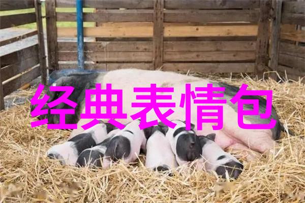 天涯明月刀电视剧恋恋红尘娶娇娈徐开骋与娜扎甜婚绘成年人爱情新篇章