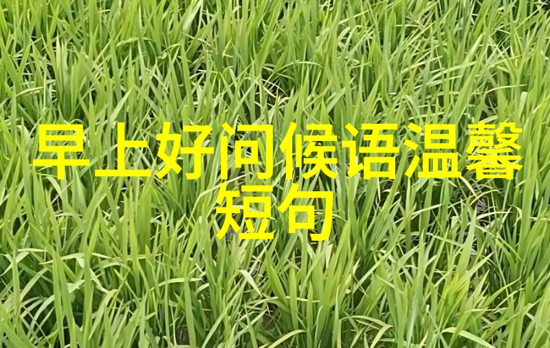 浪漫可爱的瞬间心跳与微笑之间的美好交响