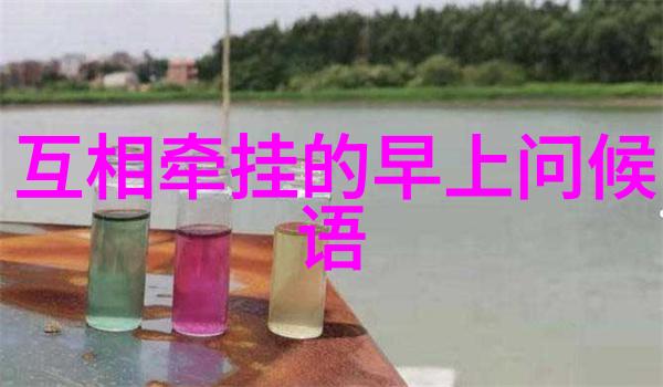 四房播播播揭秘家居空间的艺术与实用