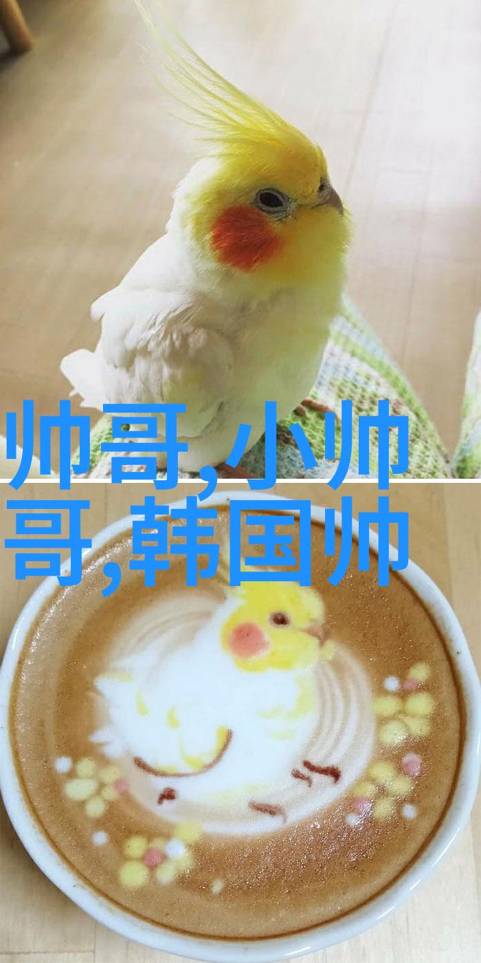 夜幕下的飞翔乌鸦的南方之旅