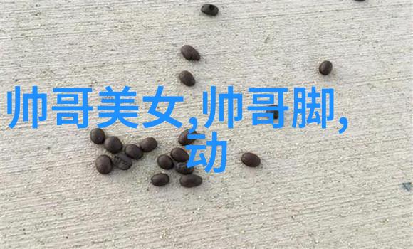 光彩夺目美女主播的魅力与风采
