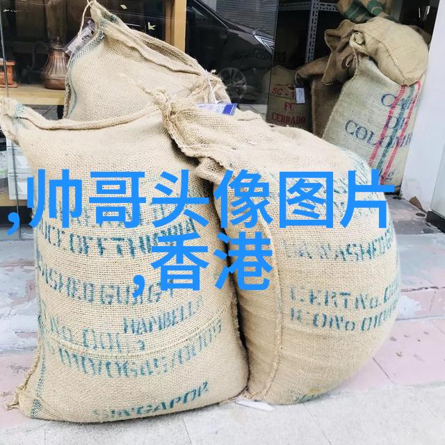 俄罗斯美女的哔哩世界文化交融与才艺展示