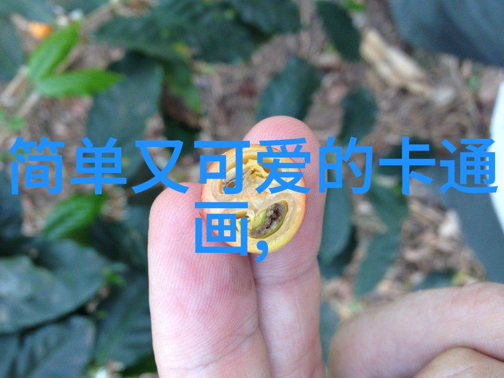 情感挽回-重燃爱火如何温暖冷却的关系