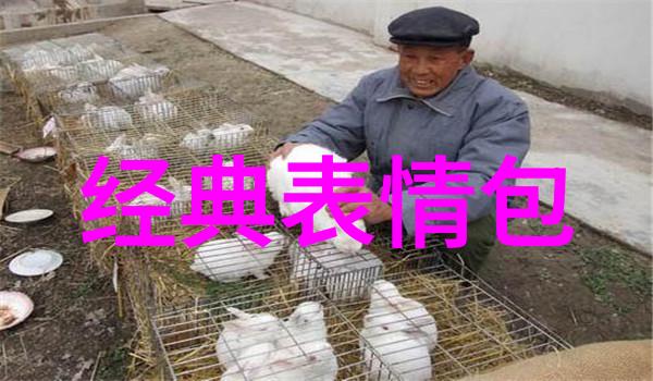 汉字的历史古文字的神秘面纱