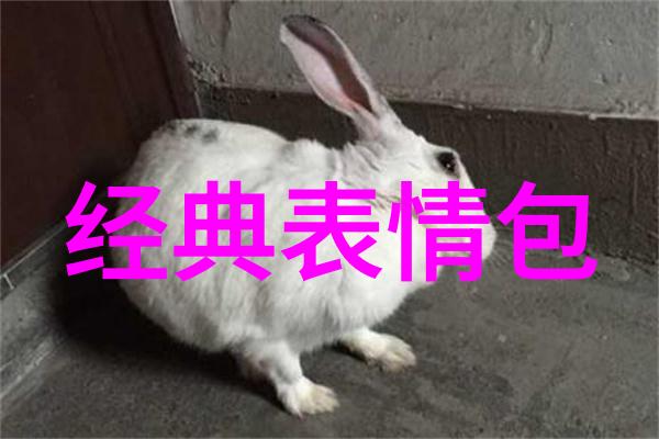 人情淡薄的代价在透明的世界里寻找真挚的人际关系