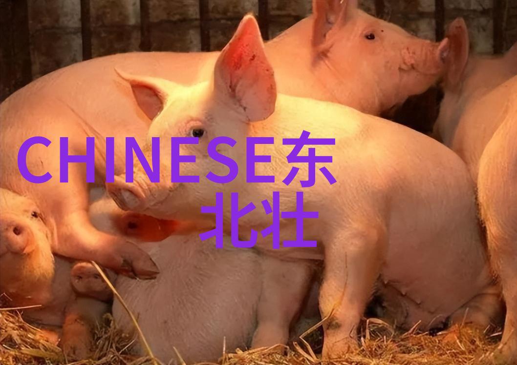 QQ情侣专用网名浅安时光厮守一季斑驳仿佛永远锁定在那一刻的物品上