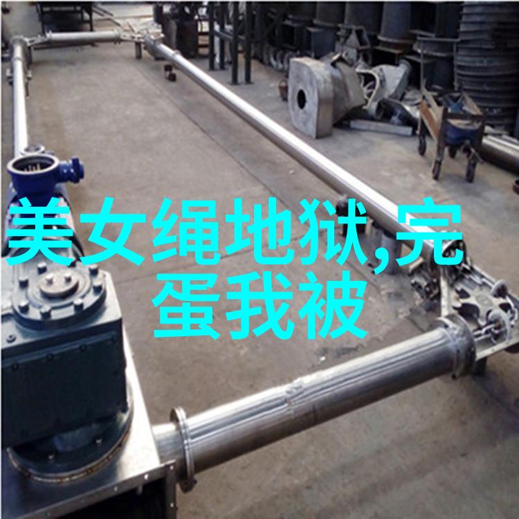 星光闪耀-女明星照片红毯上的璀璨瞬间与私人时刻的温馨展现