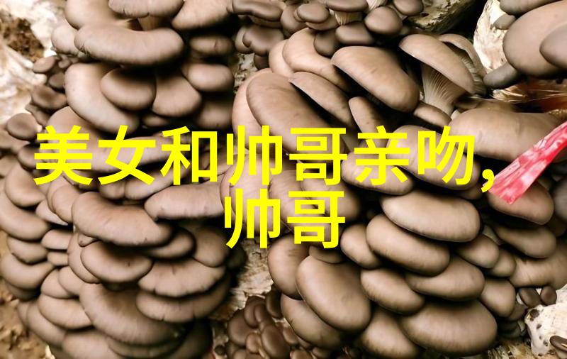 舌尖上的风味 美食与口腔健康管理