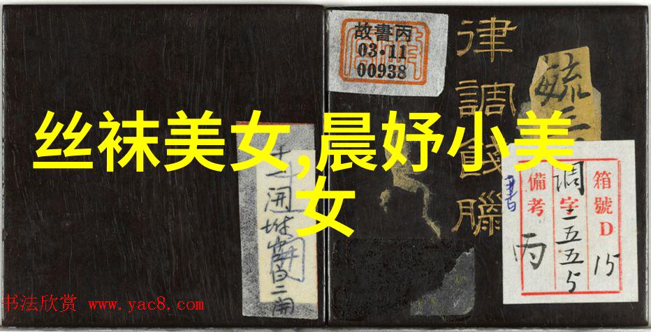 傣族的花灯节传统与现代的交响曲
