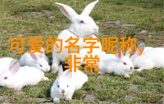 交友群共同成长的旅途