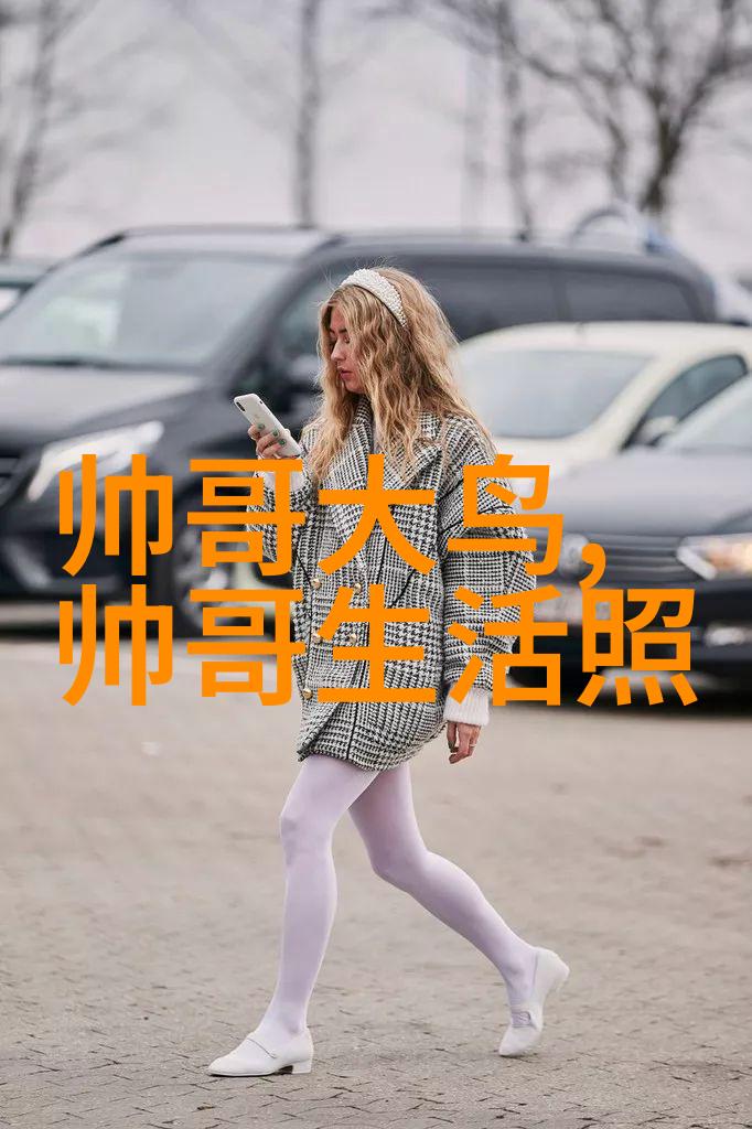 明星的安宁之梦闪光岁月里的隐退倾向