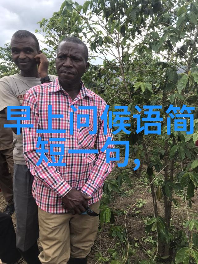 宫廷深处的宠儿庶妃专宠的荣耀与孤寂