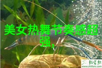 锦瑟断音前程似锦大气男孩网名精选