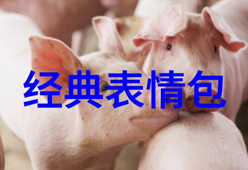 如何通过装饰来提升室内空间的暖意让冬日更添几分浪漫与梦幻感