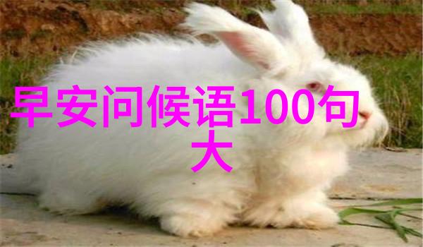 舞动的魅力一场美女的轻盈旋律