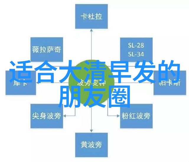 老太太的视频爱好与哟哟情怀的传承