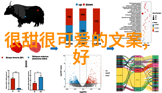 早晨的温馨拥抱心灵上的慰藉与美好开始