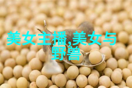何与是怎么出道的原来这位小天才是某大公司的金丝雀演过笑傲江湖盗墓笔记还有一部叫幻影侠客的新作