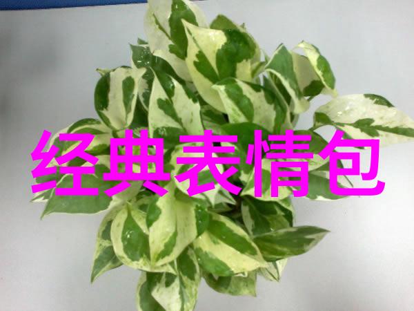 娱乐热点-闪光的秘密明星走光背后的真相