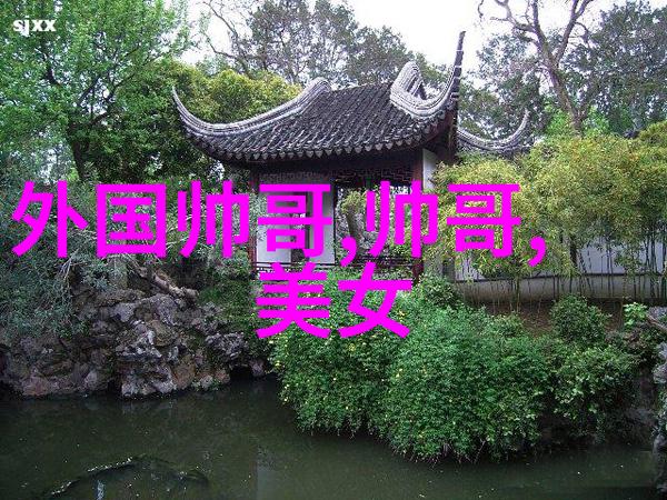 光芒绽放星光璀璨的荣耀之旅