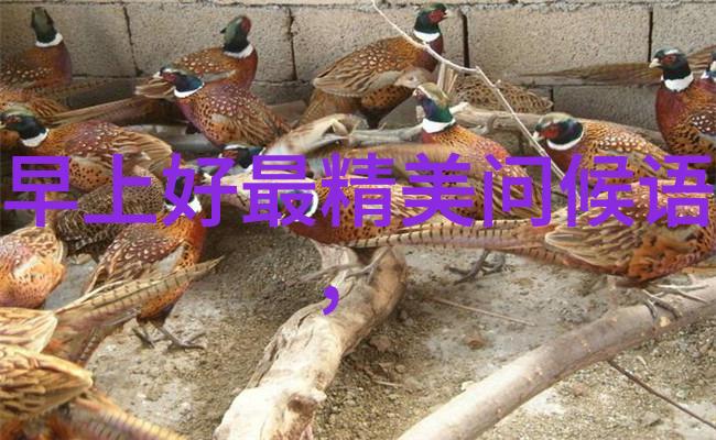 被爱的疼痛帅哥背后的隐秘