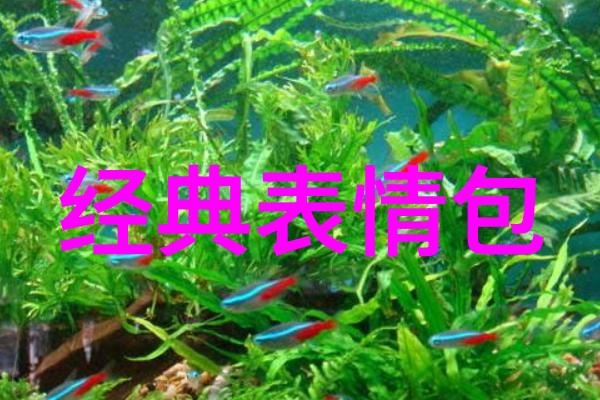 泰国娱乐圈的魅力四射十位男星亮相全球屏幕