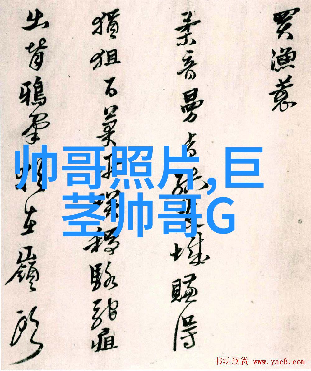 江浙沪群聊沉默雪花轻抚城市温暖与孤独交织