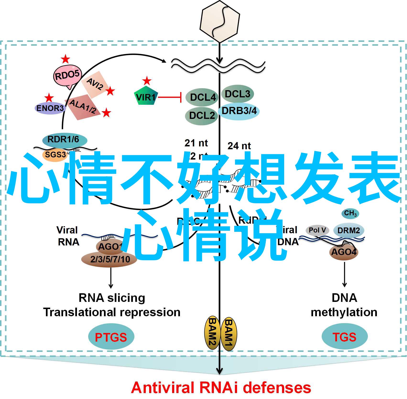 早安心情语温馨好心情早晨问候