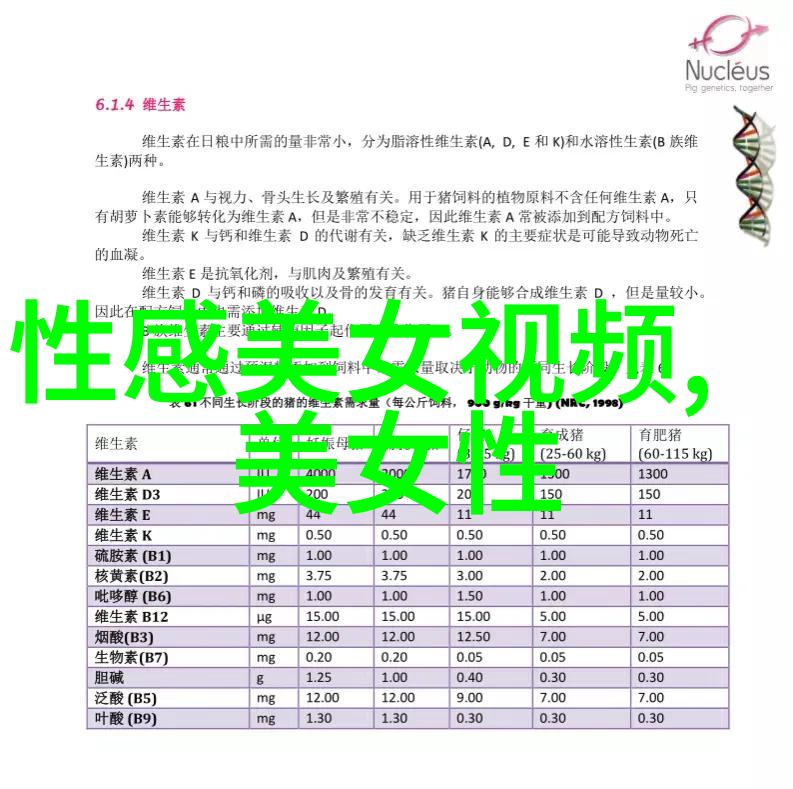 小清新美少女网名大锤子