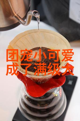 3月12日国际PI日世界爱心手牵手之日