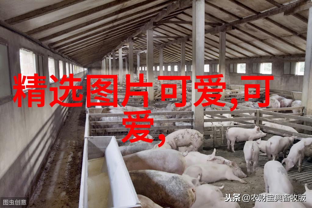明星大侦探第四季揭秘名侦探的新征程与复杂案件解析