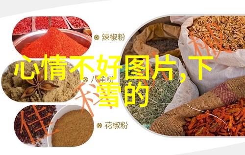 娱乐圈我见过的那些韩国女明星是怎样炙热的舞台上的花朵