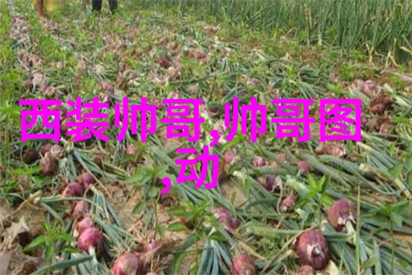 皮肤保养秘诀日本男明星的护肤必备品种类介绍