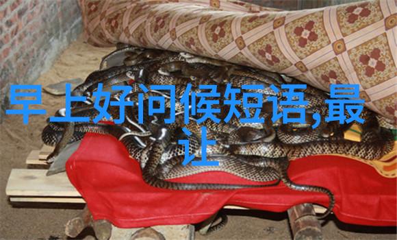 立冬最经典朋友圈句子社会迎接冬季祝福语