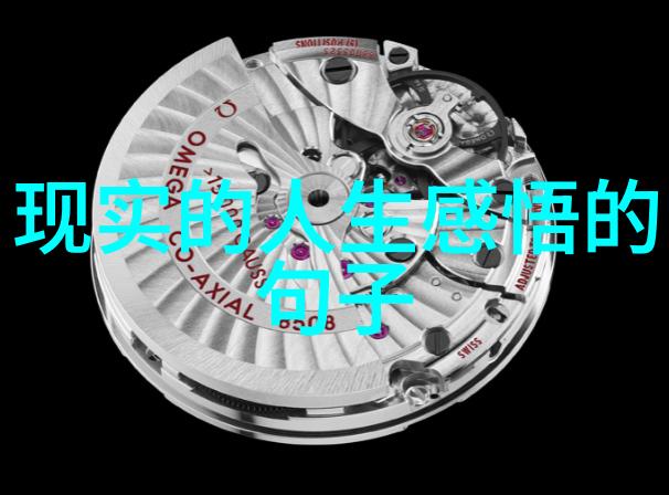 美的轮廓