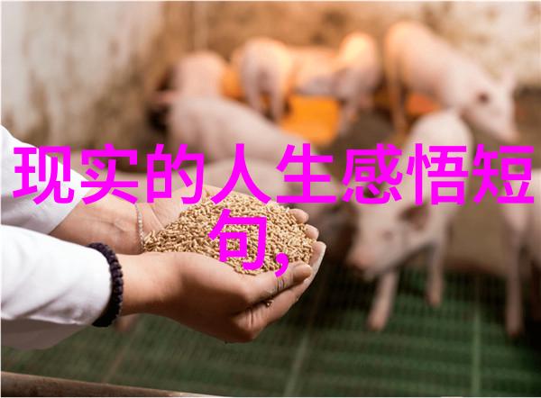 春日酱在开心麻花综艺中展现野生颜值海报曝光春日少年在自然景色中的随手拍照依然吸引目光