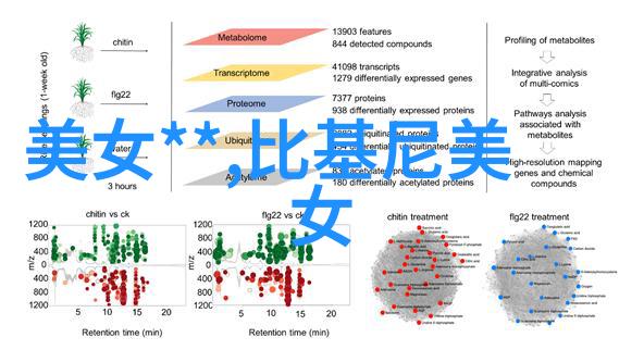 主题我眼中的罕见好看的动漫女生头像是怎样的画面