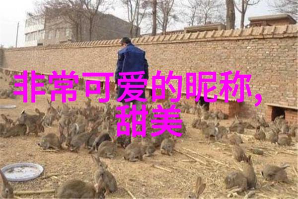 十月一烧纸中国文化中的秋收节日习俗