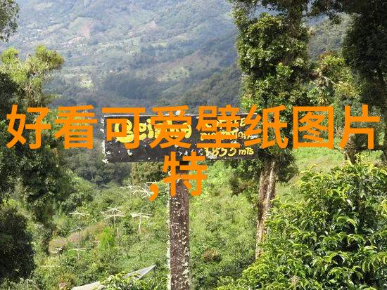 字幕风云中文字幕行业的辉煌与挑战