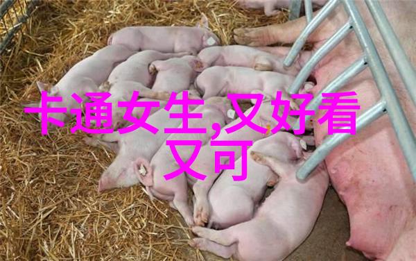 探索世界的五大洲王轩子的旅程