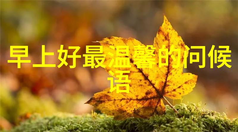 早上简短暖心问候语-阳光般的早晨轻松愉悦的问候