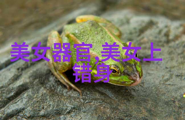 中国汉字演变过程(图)我来带你看看这5000年来的汉字变迁