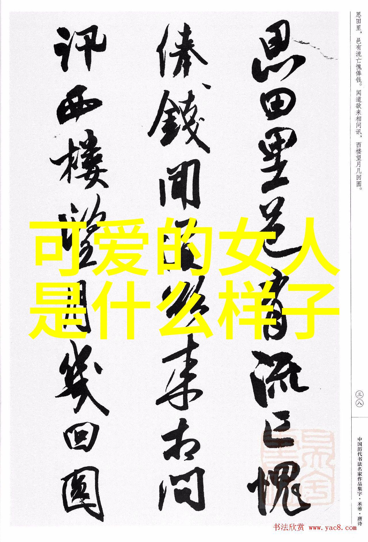 汉字的历程探索中国文字的变迁与发展