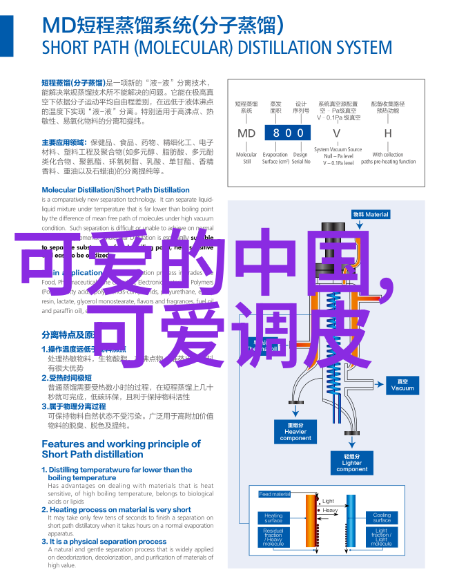 全球各地的圣诞节庆祝方式