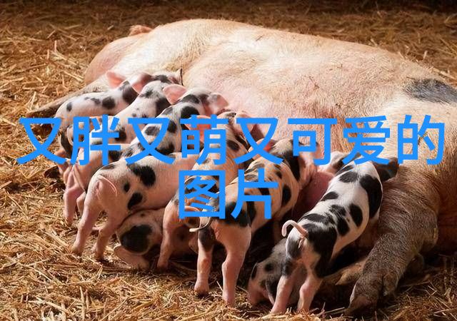 夜色下的孤灯寂寞女护士的哀歌