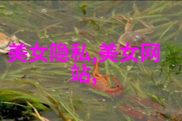 小叮当的歌声在夜空中回响她是一位才华横溢的女歌手却因一场意外被永久封号她的个人资料如同一本未完待续的