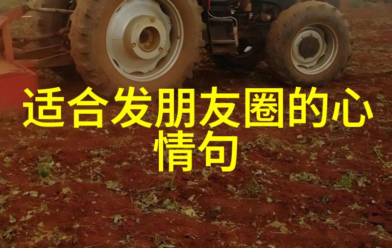 早晨微信问候日出时分的温馨语句